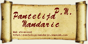 Pantelija Mandarić vizit kartica